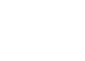 Yacht Week